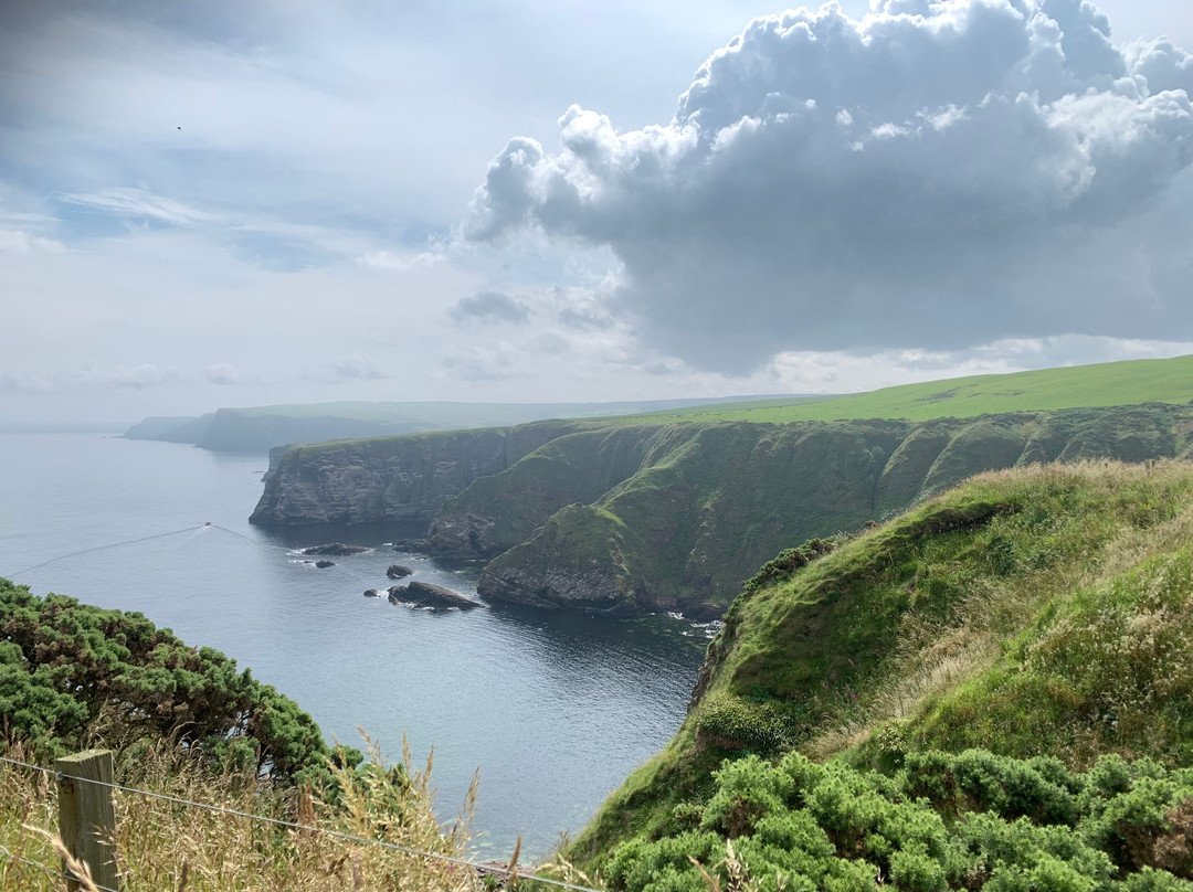 RSPB Troup Head Nature Reserve-Macduff必去景点