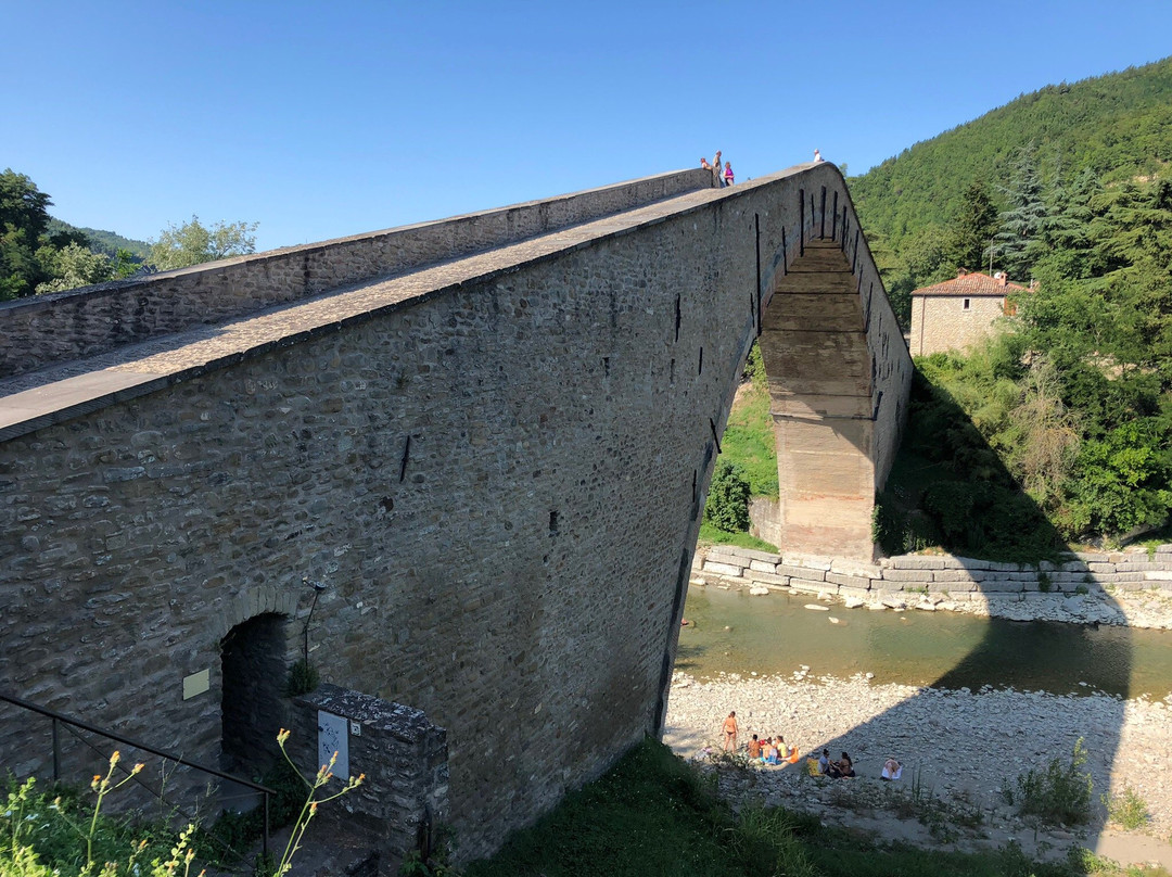 Ponte Alidosi (ponte rinascimentale a Schiena d'Asino)景点图片