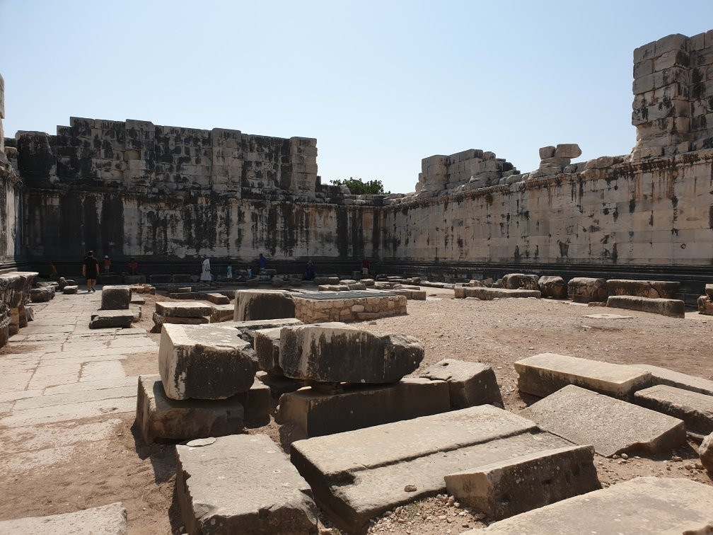 Temple of Apollo景点图片