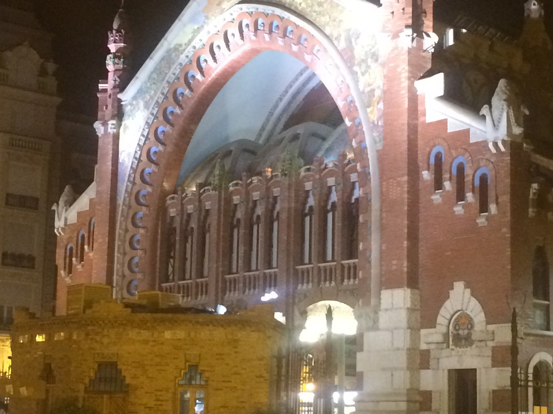 Metro de Valencia (El)-巴伦西亚必去景点