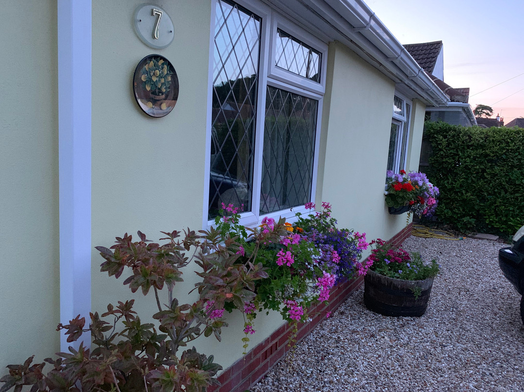 The Lemon Trees主图