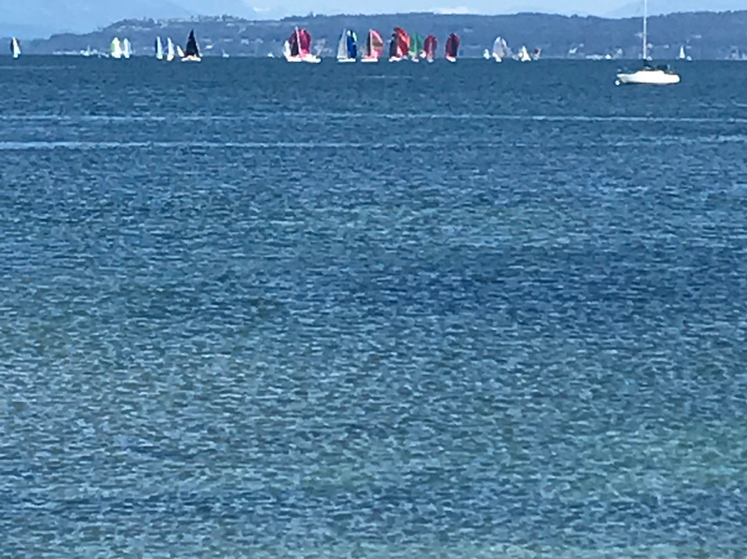 Captain Whidbey Inn主图