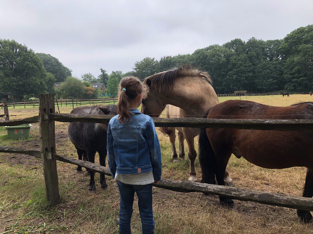 De Paardenkamp - Boerderij Vosseveld-索斯特必去景点