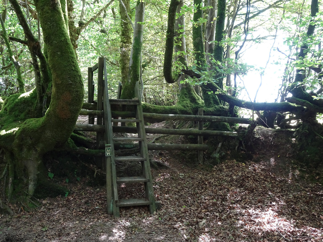 The Two Moors Way-Ivybridge必去景点