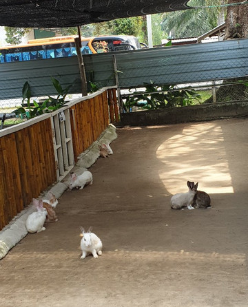 Aves World Broga-Semenyih必去景点