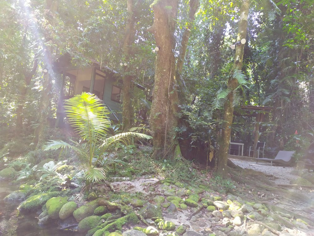 Misty Mountains Tropical Rainforest Retreat主图