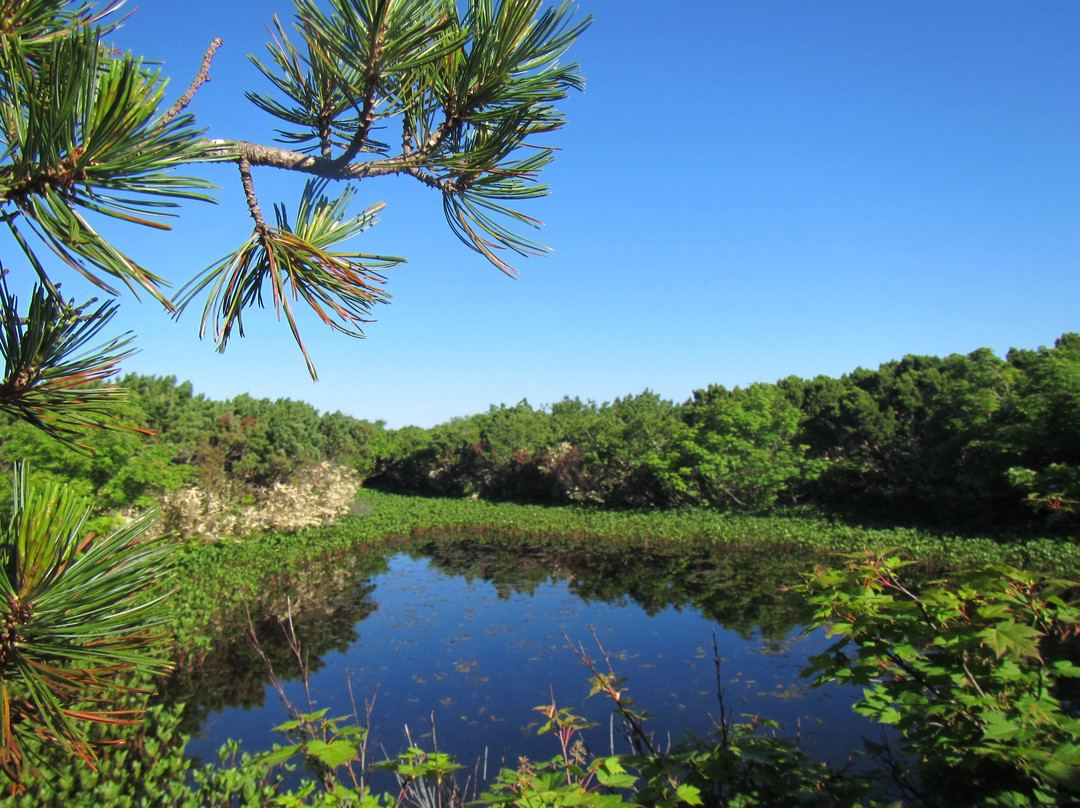 Mt. Kariba-岛牧村必去景点