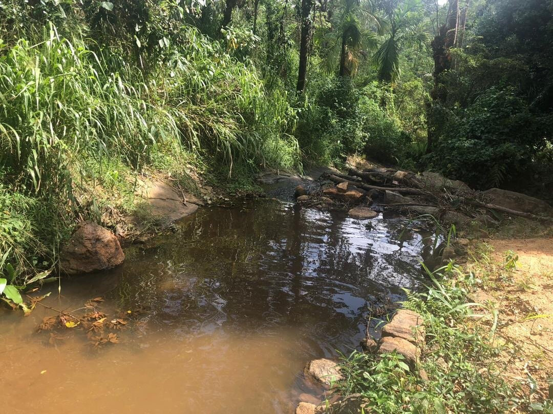 Landa Holiday Houses主图