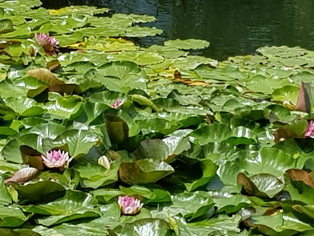 Lac du Mont d'Orge-锡永必去景点