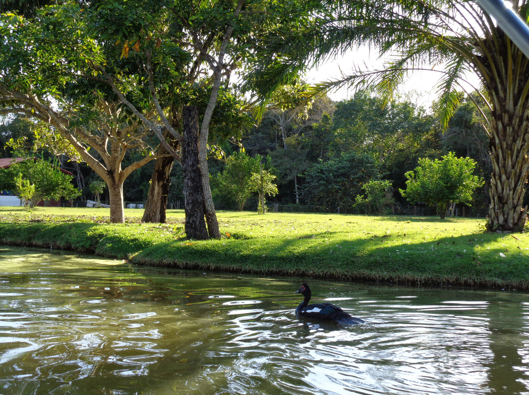 Hotel Sesc Porto Cercado主图