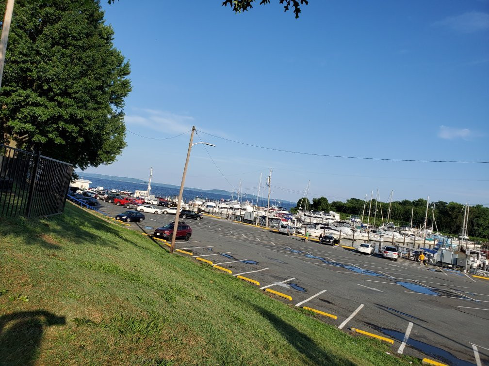 Millard Tydings Memorial Park景点图片