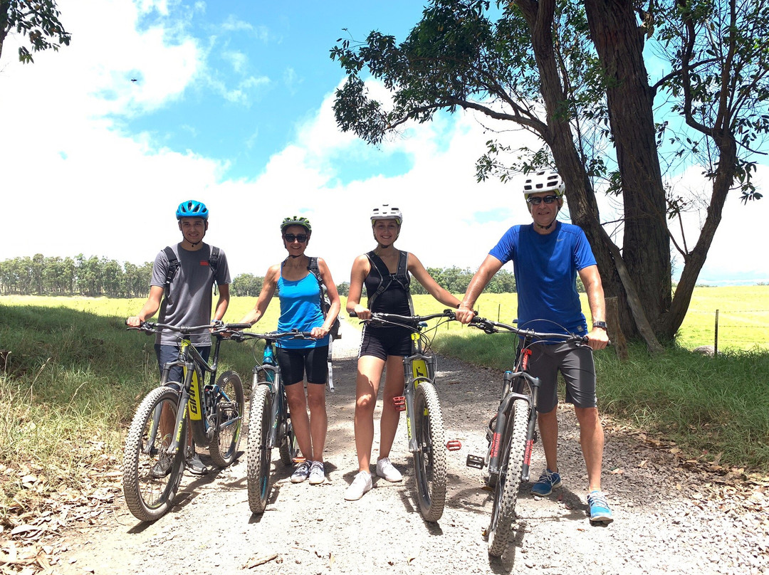 Big Island Bike Tours景点图片