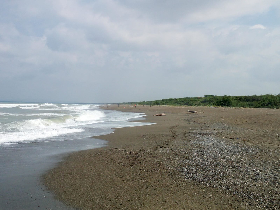 Spiaggia del Seggio-Marina di Castagneto Carducci必去景点