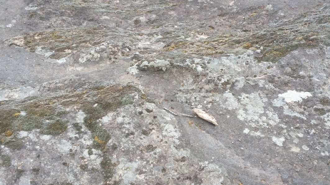 Ciampate del Diavolo-Tora e Piccilli必去景点