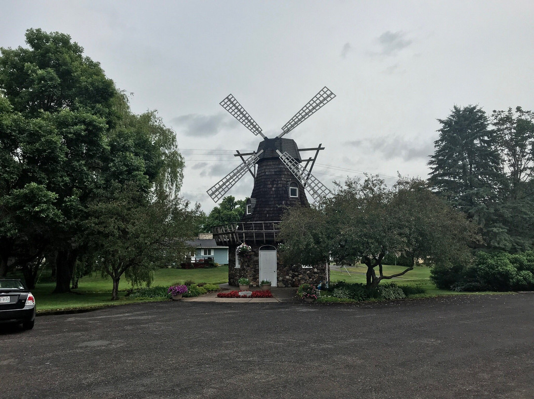 Windmill Park景点图片