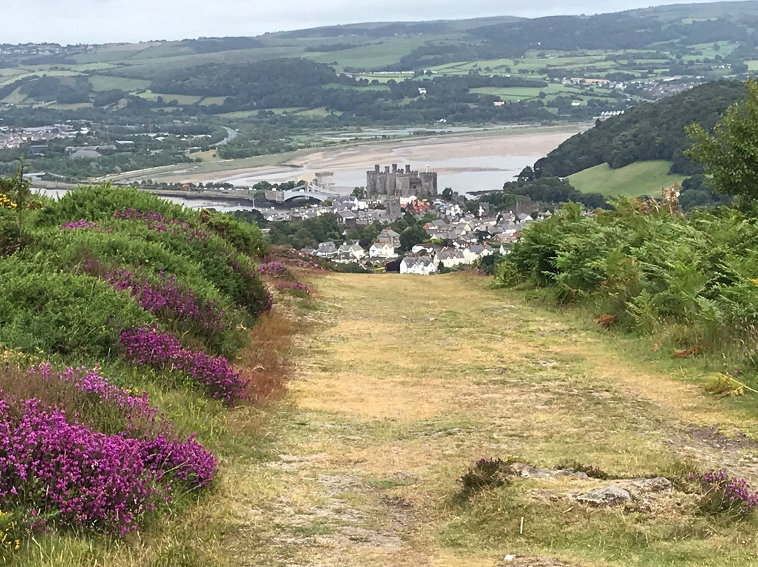 Conwy Mountain景点图片