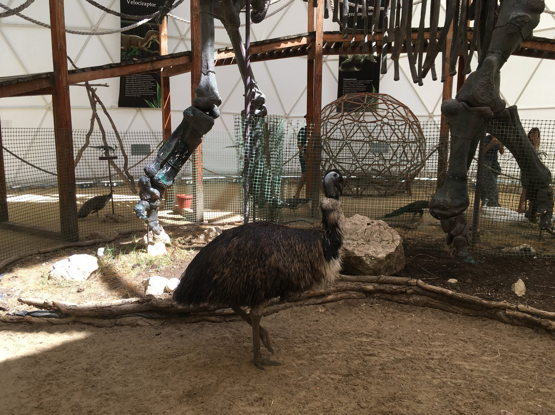Bird Park Dinoteriy Koktebel-Koktebel必去景点