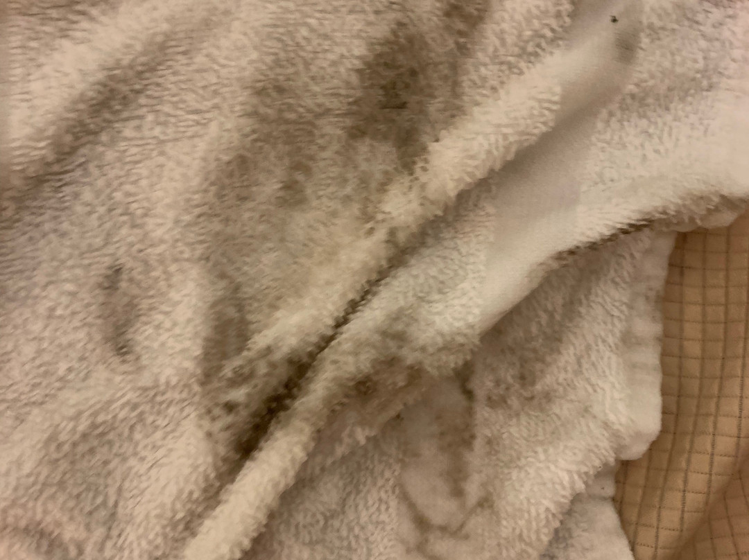 Dunes Inn & Suites主图