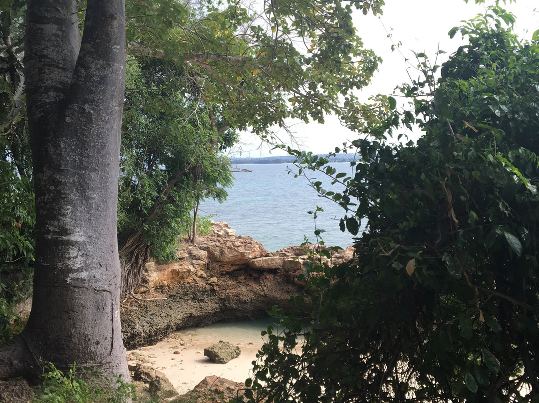 Bongoyo Island-Dar es Salaam必去景点