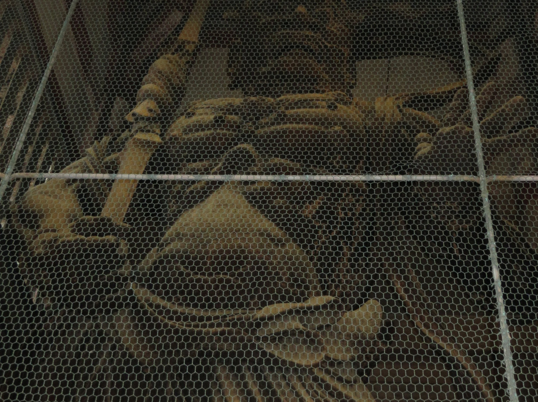 Todai-ji Temple Nandai Gate-奈良市必去景点