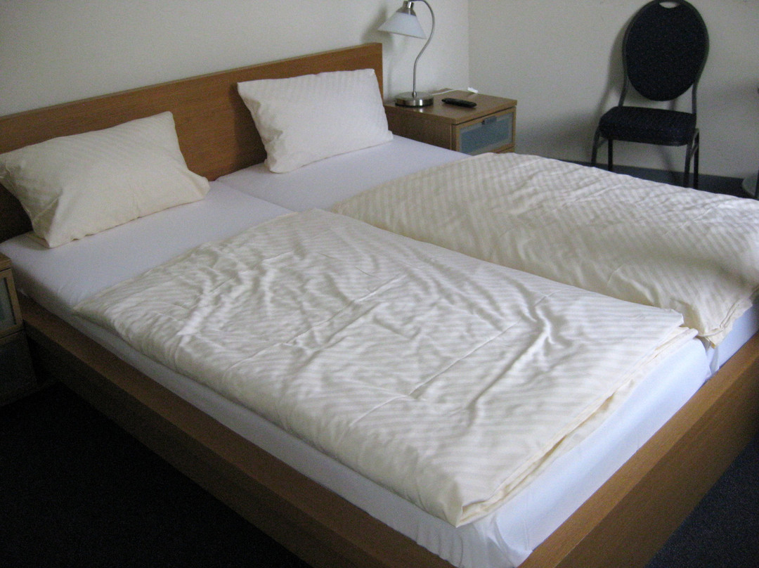 Hotel Jaegerhof主图