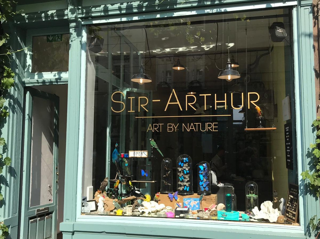 Sir-Arthur-安特卫普必去景点