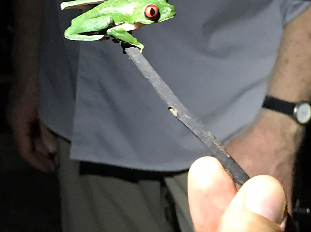 The Night Tour with Tracie The Bug Lady-德雷克湾必去景点