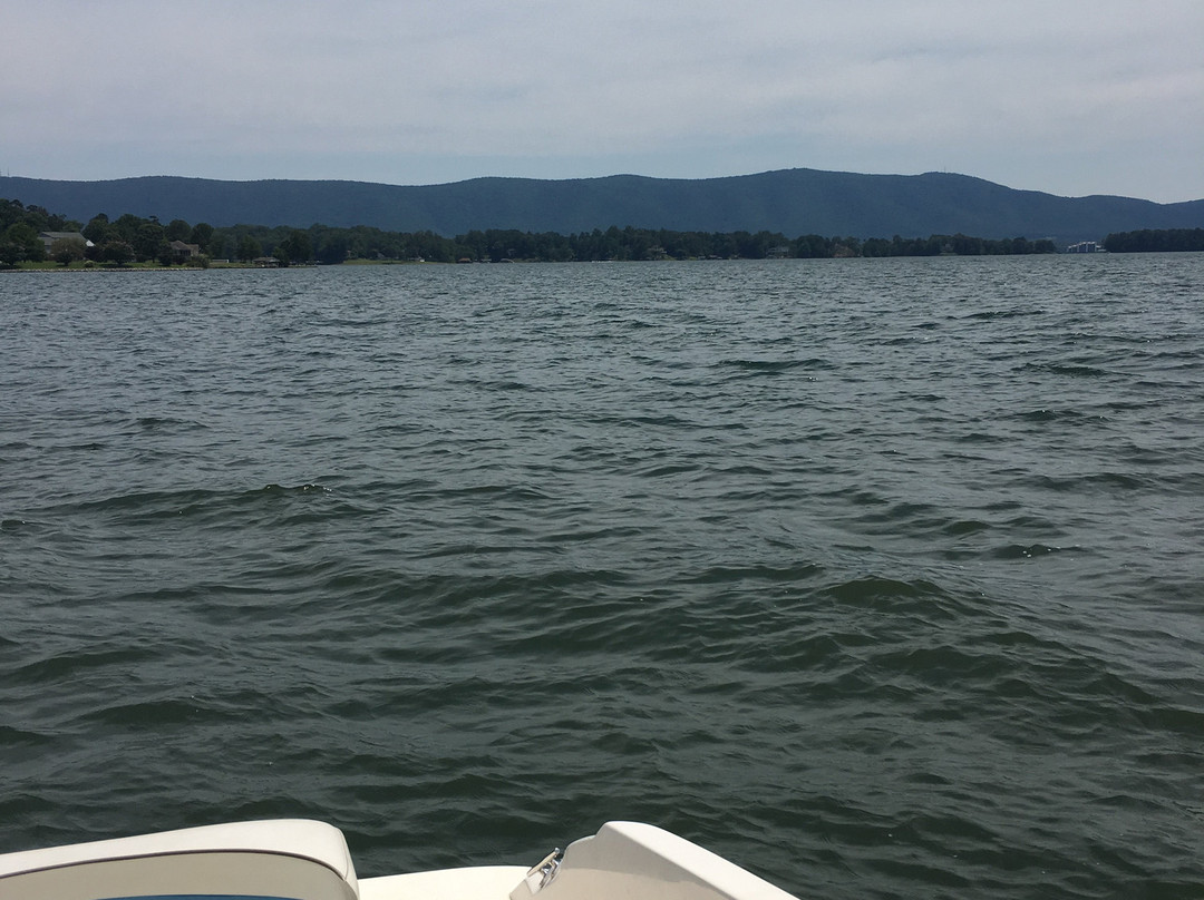 Halesford Harbour Resort主图