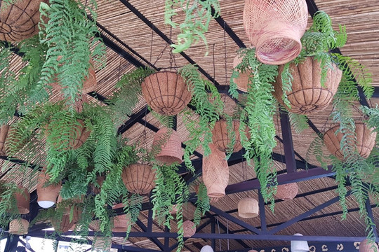 Viajero Cali Hostel主图