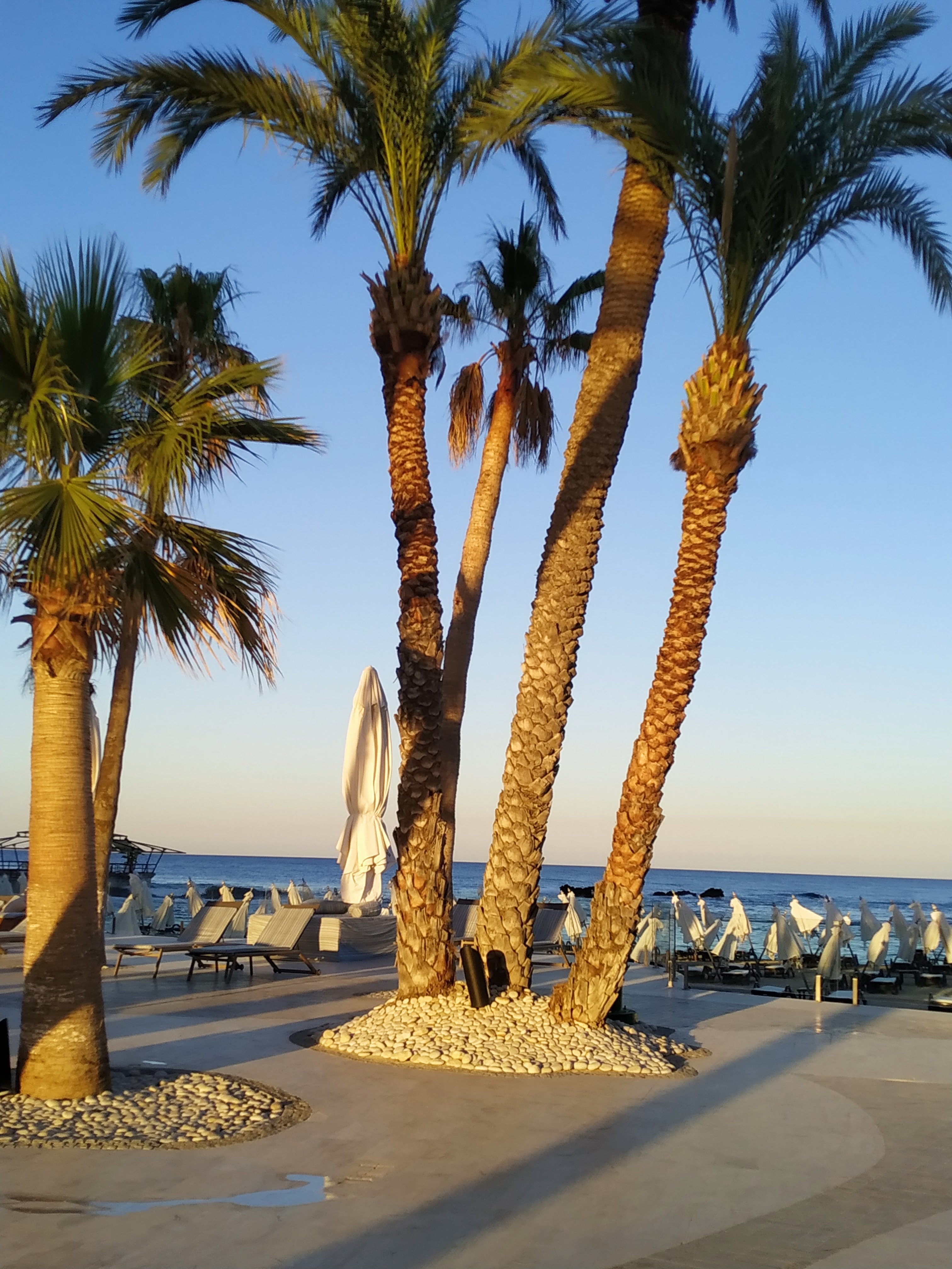 Arkin Palm Beach Hotel-泳池