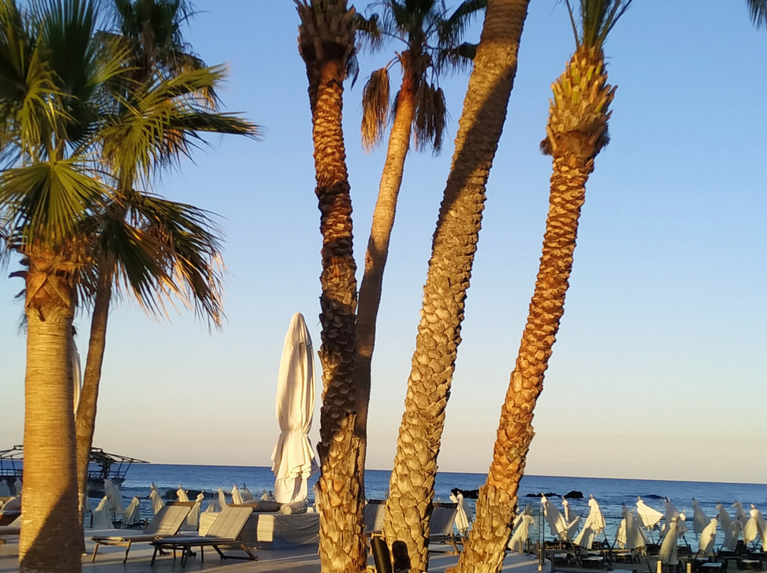 Arkin Palm Beach Hotel主图