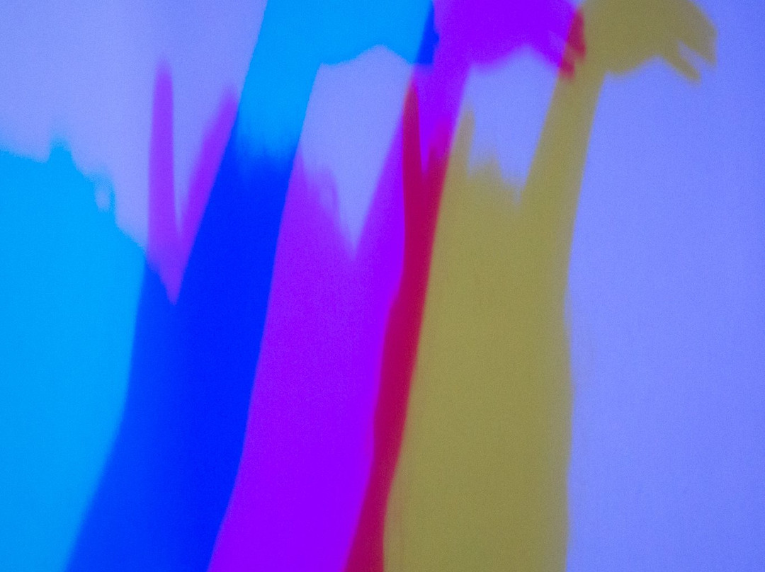 Museum of Senses Constanta景点图片