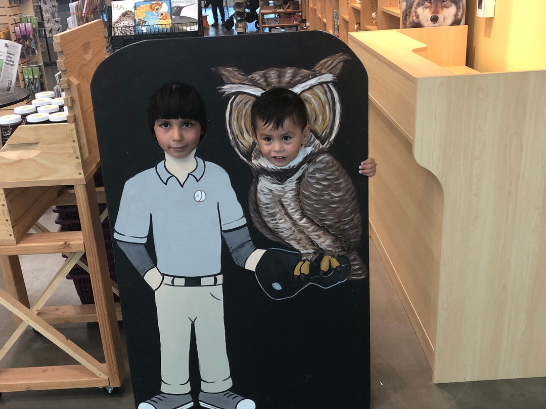 Lindsay Wildlife Museum-核桃溪必去景点