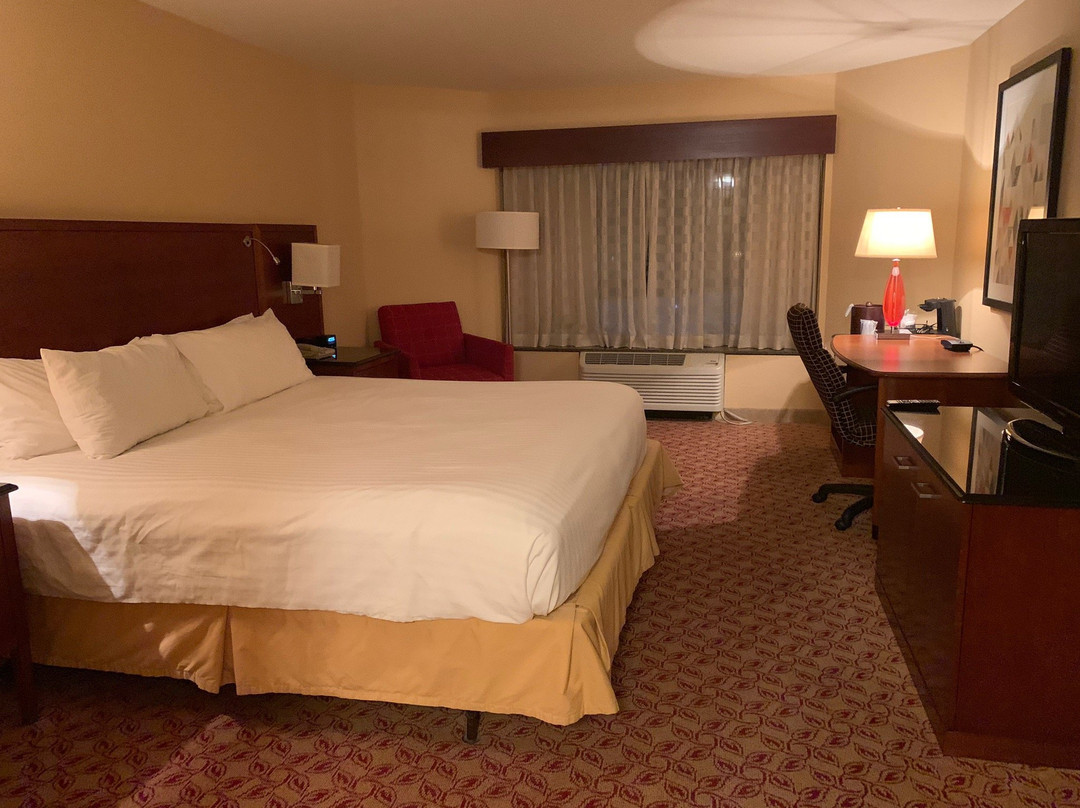 麦坎姆利广场酒店主图