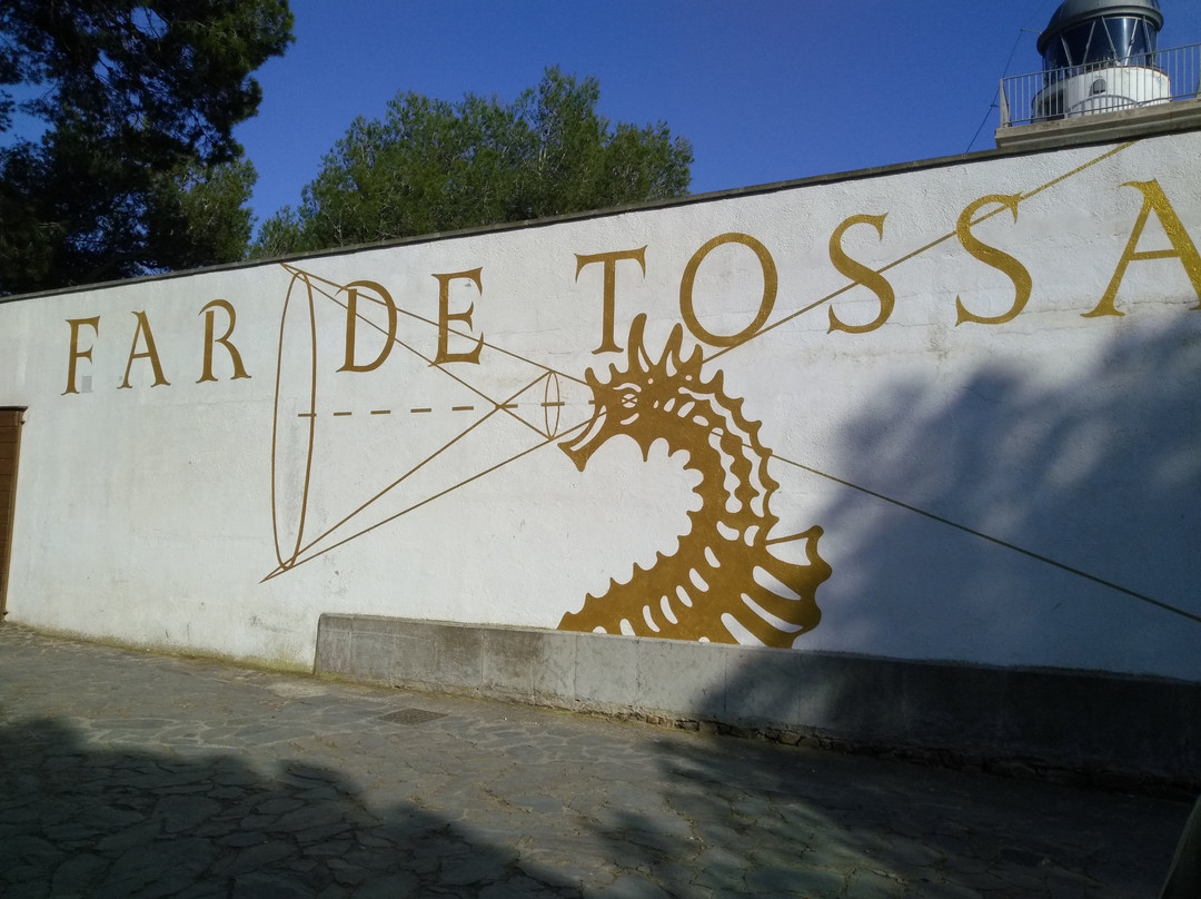 Museo del Far de Tossa景点图片