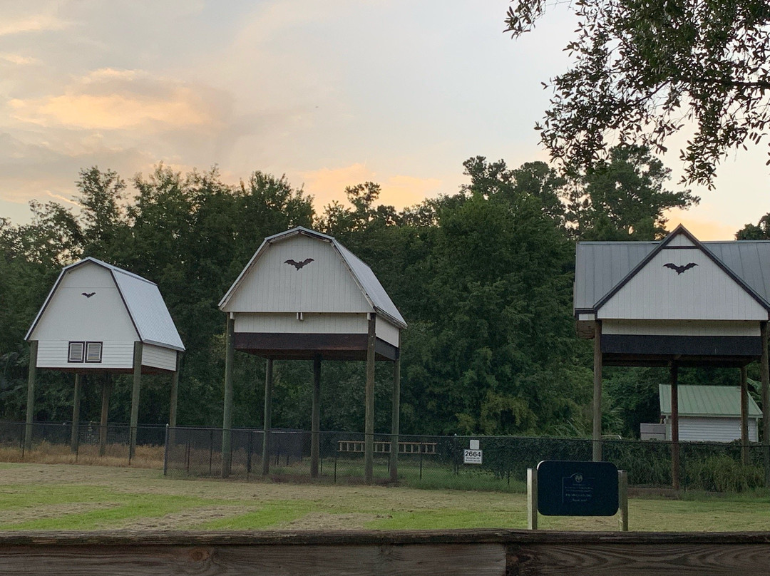 University of Florida Bat House-盖恩斯维尔必去景点
