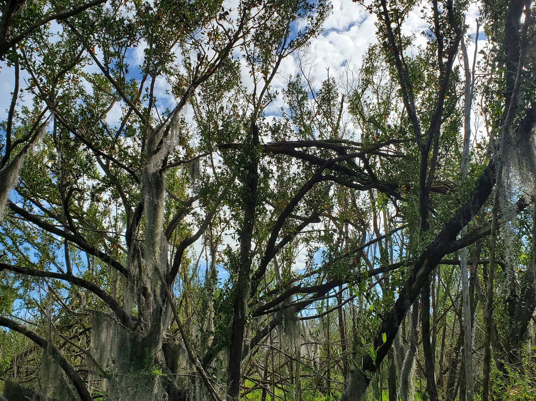 Coastal Prairie Trail-大沼泽国家公园必去景点