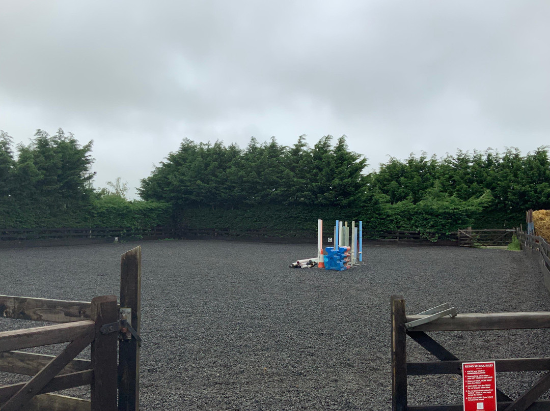 Black Cat Equestrian Centre