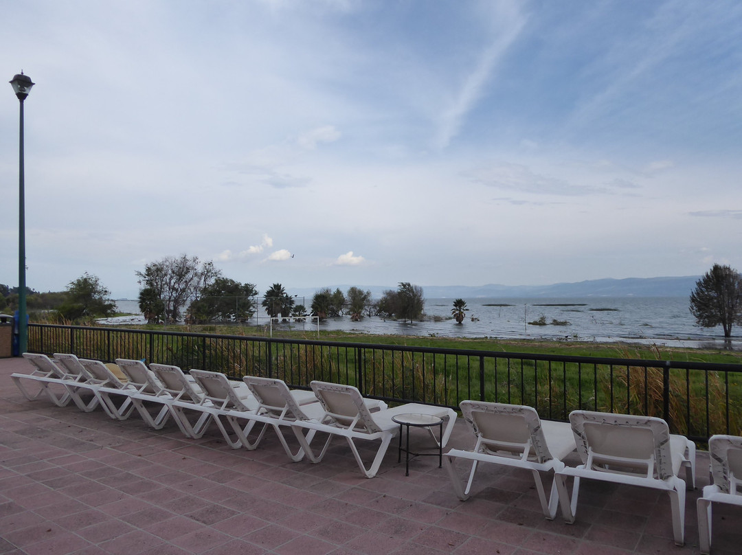 Real De Chapala主图