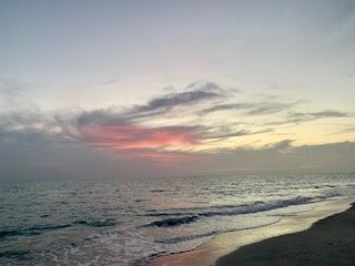 Pearl Beach Inn主图