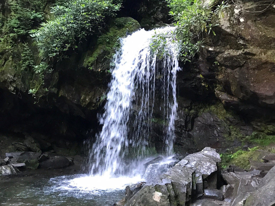 Grotto Falls Trail景点图片