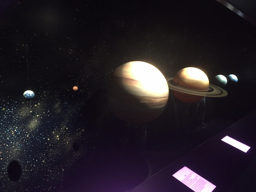 Planetarium Hubert Curien-第戎必去景点