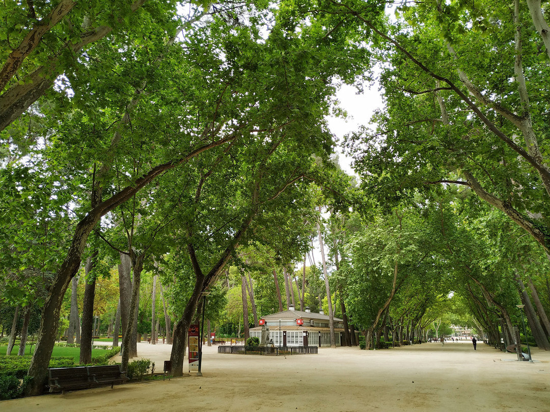Parque de Abelardo Sanchez景点图片