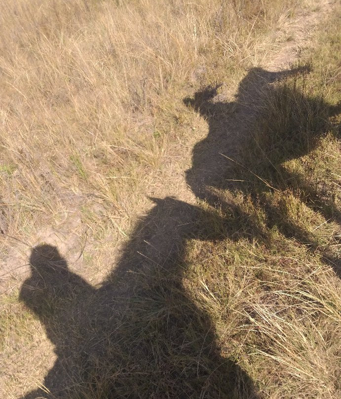 Horse Riding Adventures-柯立南必去景点