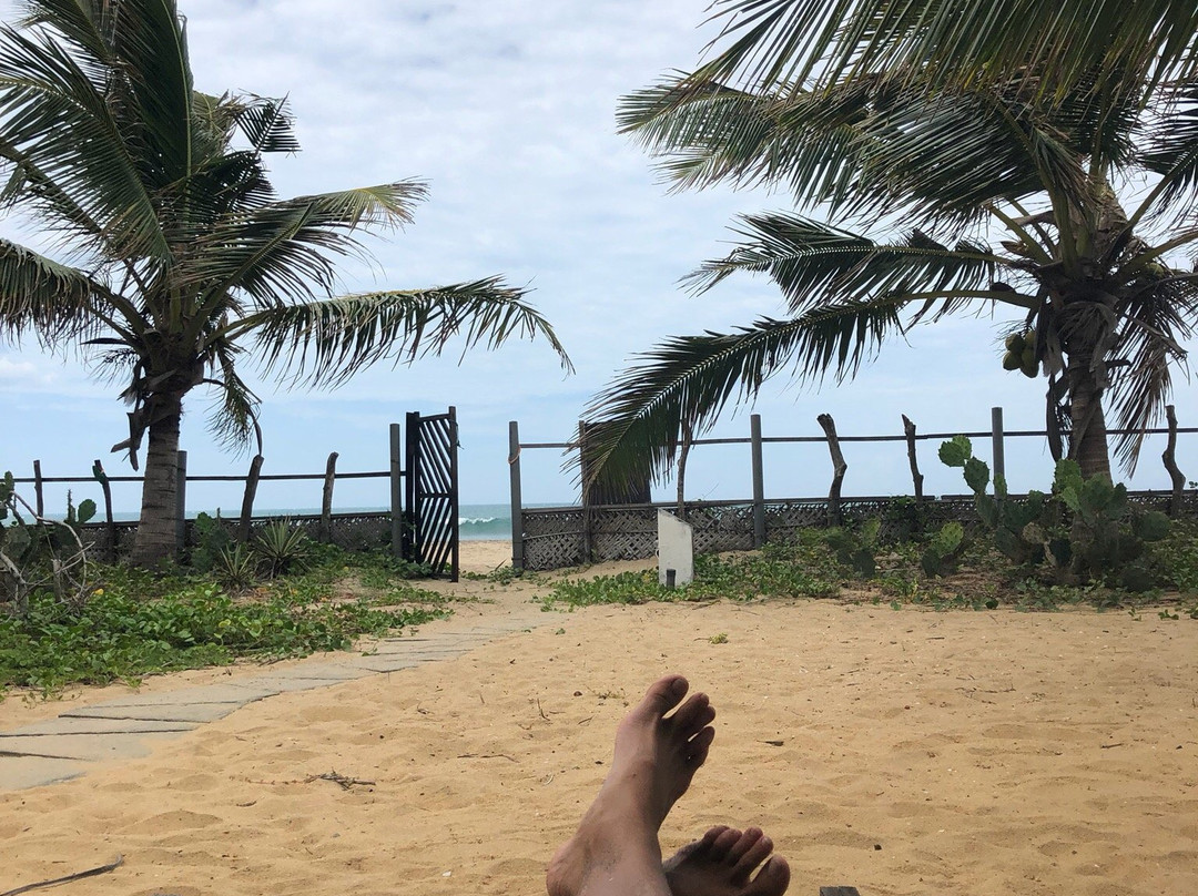 Stardust Beach Hotel主图