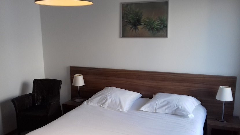 Appart'hôtel Victoria Garden Pau主图