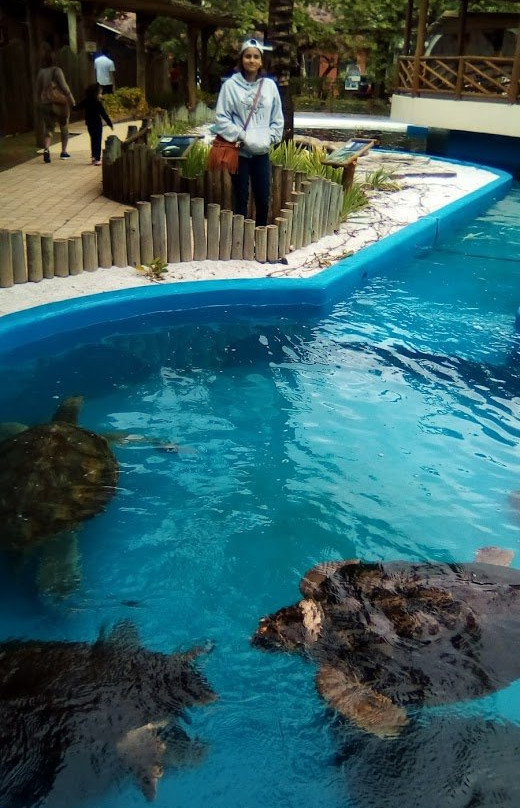 Projeto Tamar-乌巴图巴必去景点