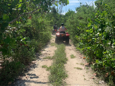 S&D Coach Tours-弗里波特必去景点