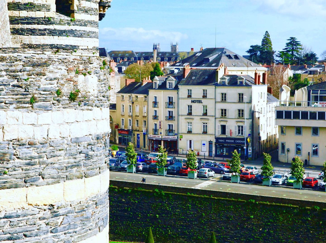 Logis Hôtel Marguerite d'Anjou主图