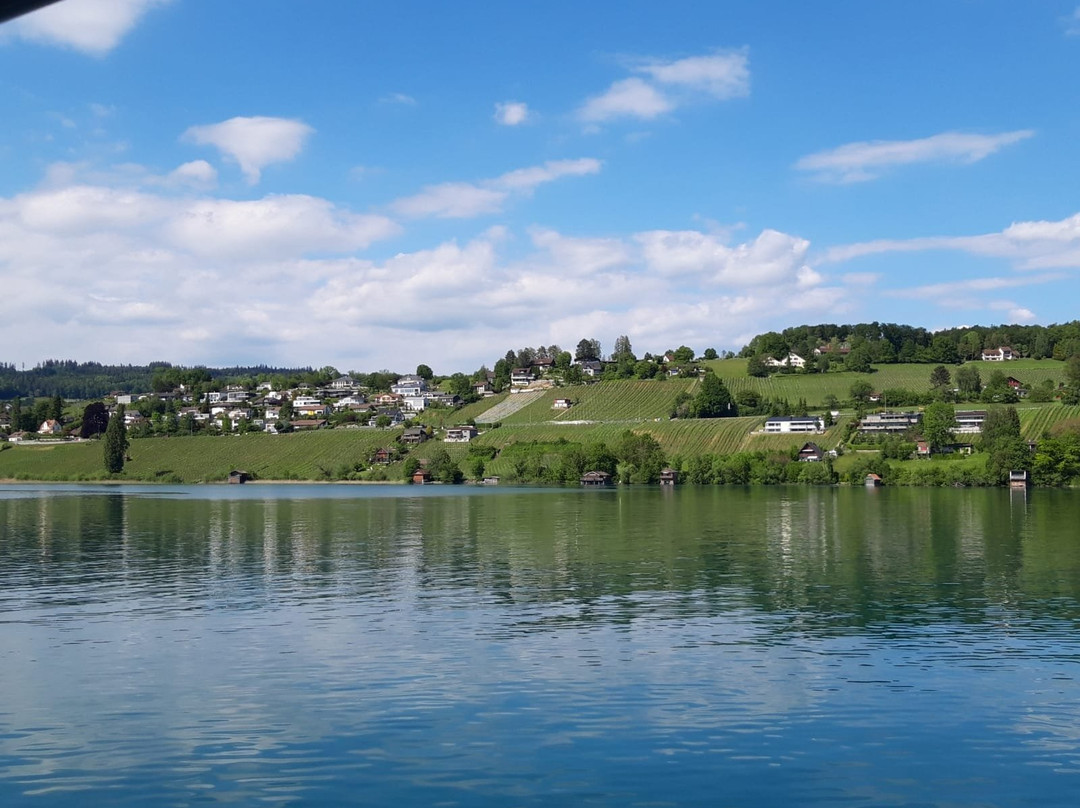 Seeuferweg Hallwilersee-Seengen必去景点